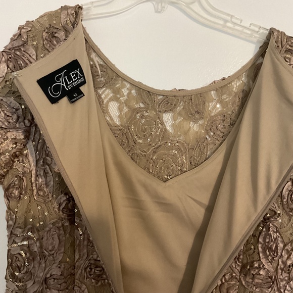 Alex Evenings Gown - Picture 2 of 8